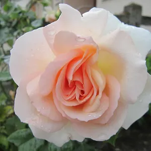 Margotine D'hotes Frühstückspension Bellerive-sur-Allier